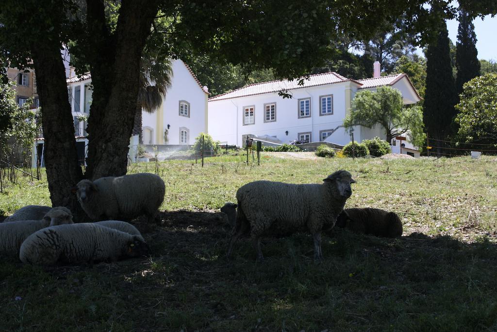 Eugaria Country House By Lost Lisbon Sintra Exteriör bild