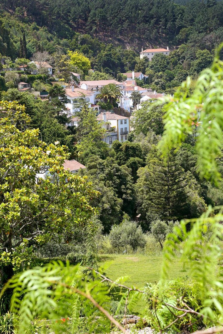 Eugaria Country House By Lost Lisbon Sintra Exteriör bild
